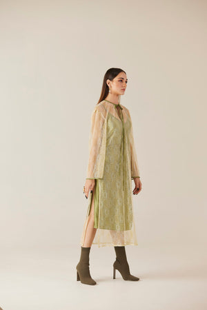 Lumière Green Lace Midi Dress
