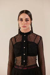 Dreamscape Black Lace Sheer Long Sleeve Top