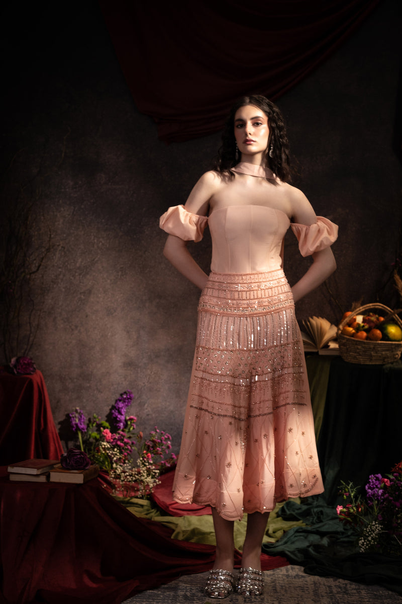 Blush Pink hand Embellished Crepe Midi Skirt - Main Image