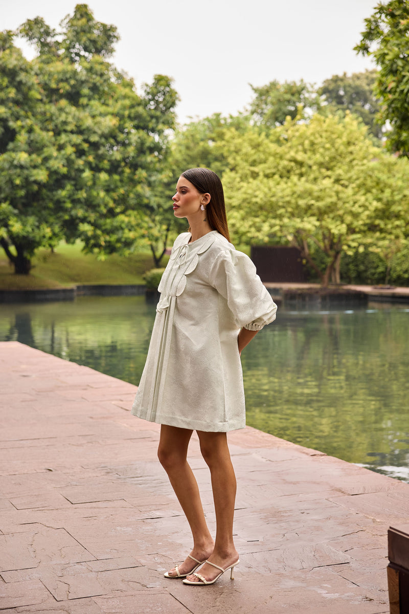 Pastel Green A-Line Jacquard Dress