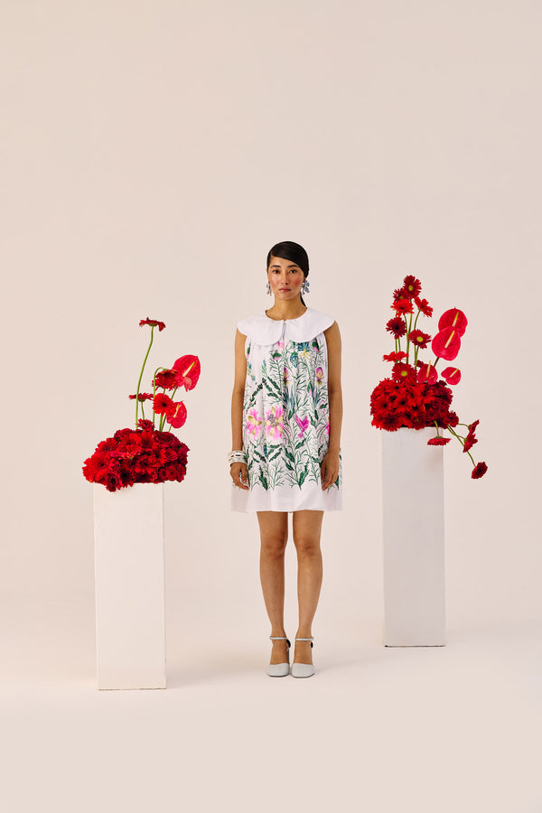 White Printed Peter Pan Collar Mini Dress