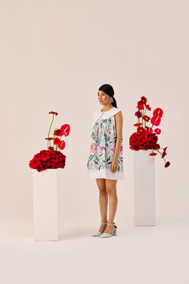 White Printed Peter Pan Collar Mini Dress