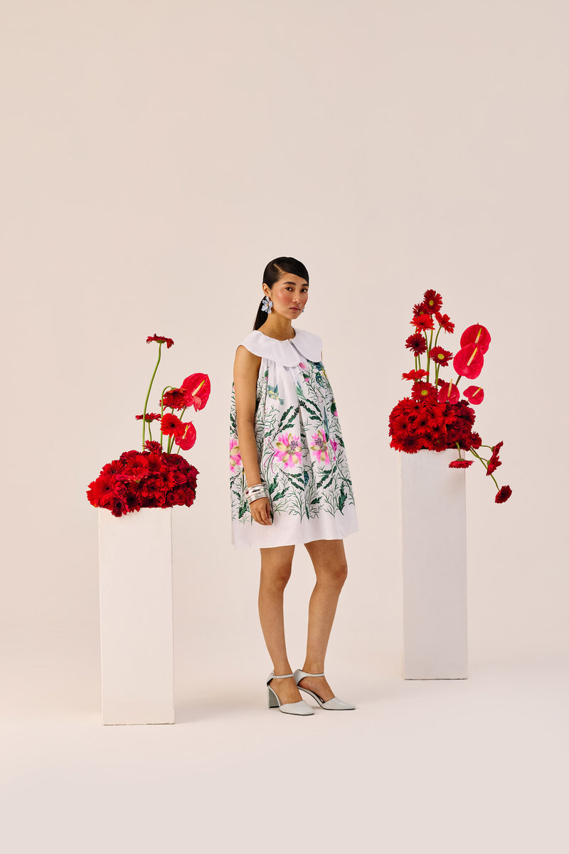 White Printed Peter Pan Collar Mini Dress