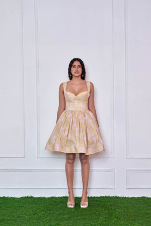 Fashion Ballet Mini Bustier Bell Dress