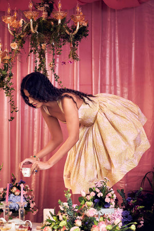 Fashion Ballet Mini Bustier Bell Dress